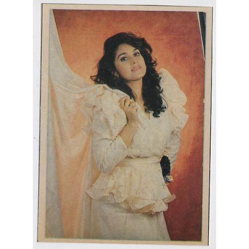 Meenakshi Seshadri * Vintage Bollywood Postcard * (BLANK)