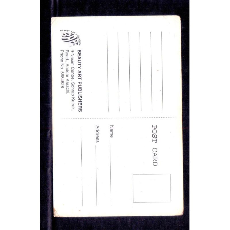 Sandali Sinha and Priyanshu Chatterjee * Vintage Bollywoord Postcard * (BAP) (A9)