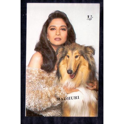 Madhuri Dixit * Vintage Bollywoord Postcard * (Universal) (A9)